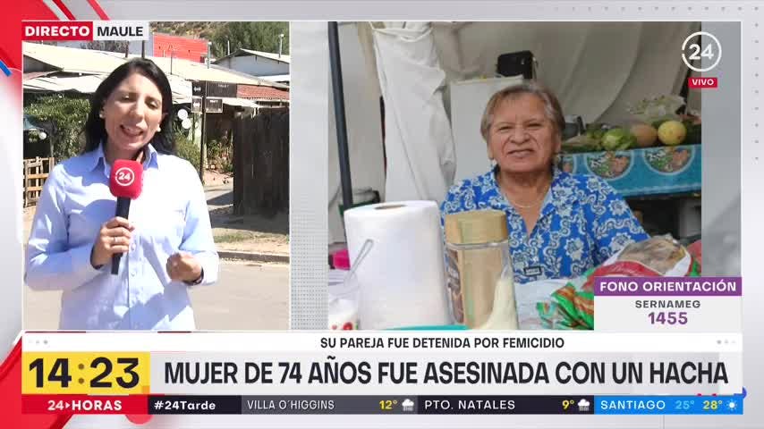 Mujer de 74 años fue asesinada con un hacha por su pareja: vecinos alertaron de gritos al interior de la casa