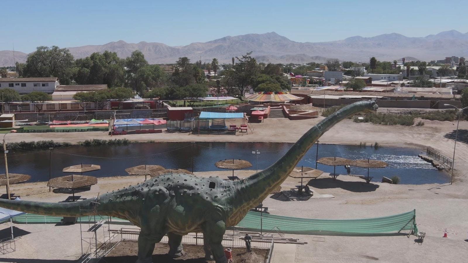 Calama tendrá circuito paleontológico permanente .