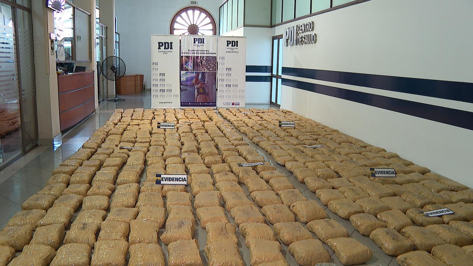 PDI decomisa casi media tonelada de droga