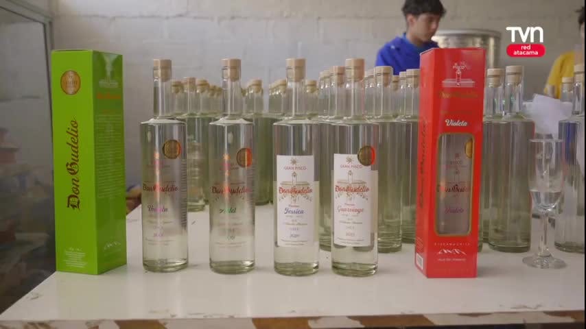 FIESTA DE LA VENDIMIA