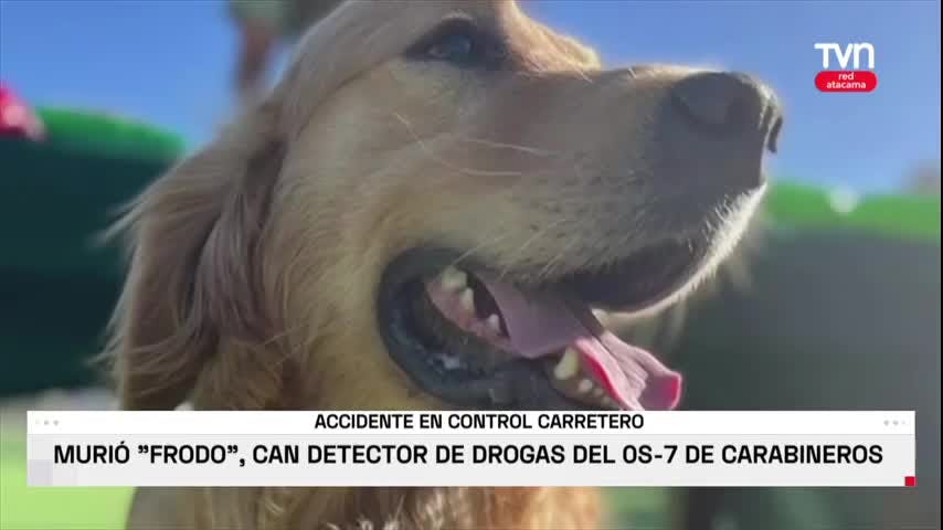EN ACTO DE SERVICIO