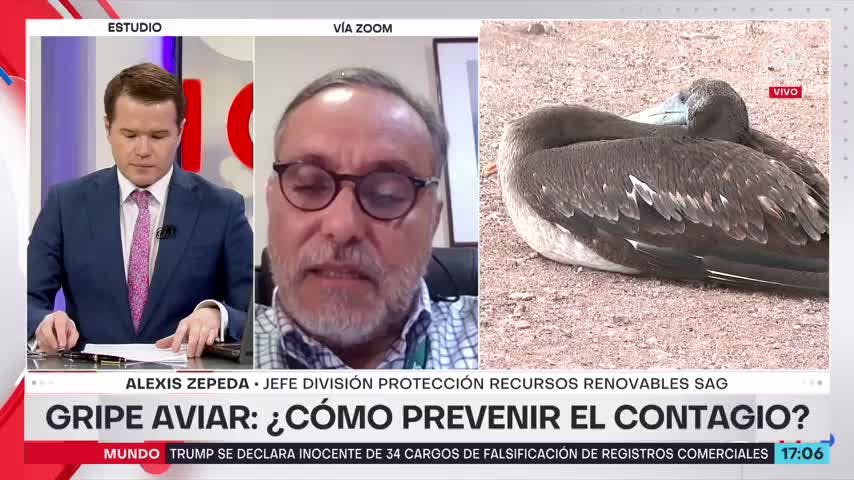 SAG por gripe aviar: “Se espera que avanzado el invierno los casos vayan disminuyendo”