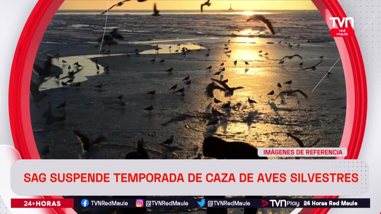 SAG suspende temporada de caza de aves silvestres
