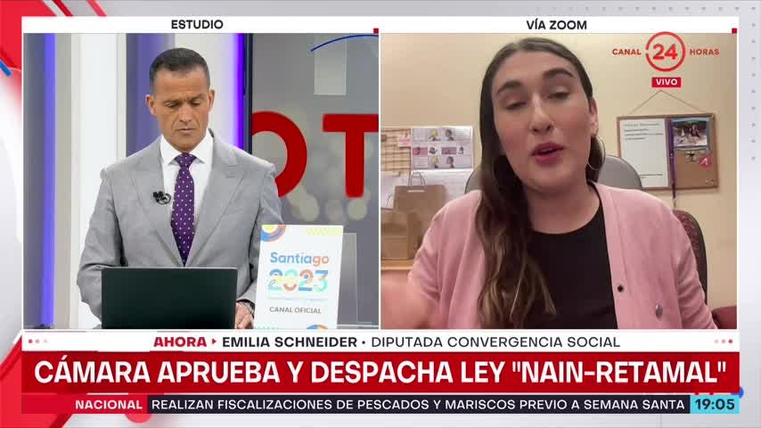 Diputada Schneider: “La legítima defensa privilegiada deja en indefensión a la ciudadanía”