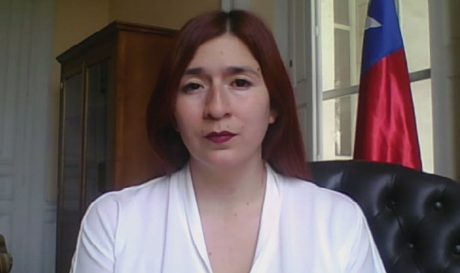 Catalina Pérez por Ley Nain-Retamal: Cuando se promulga, el TC se descarta