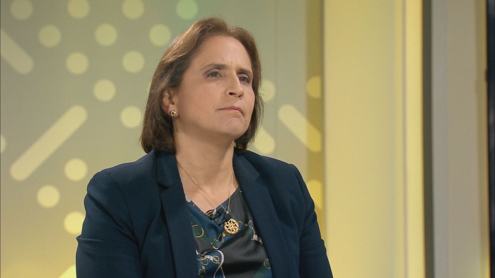 Leitao por intervención en 30 comunas de la RM: Yo hablaría de macrozonas y microzonas complejas
