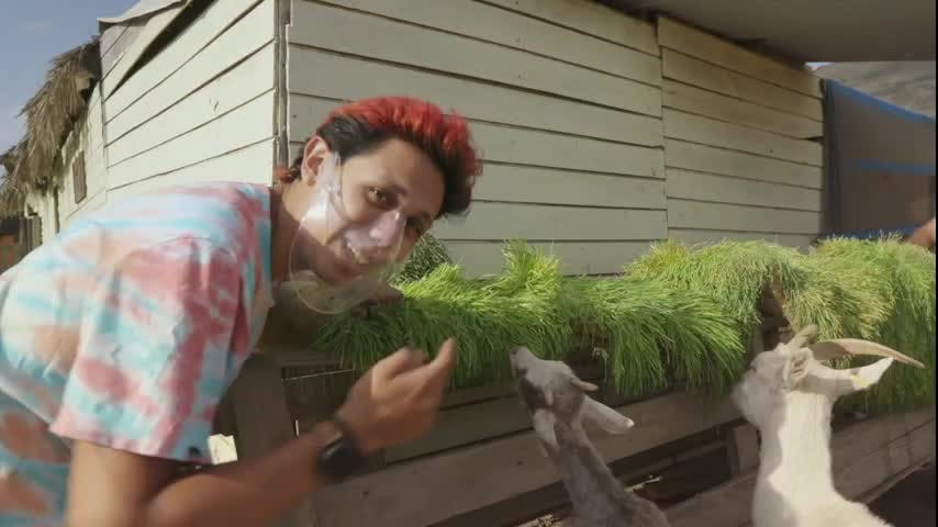 Un divertido Laboratorio Chatarra