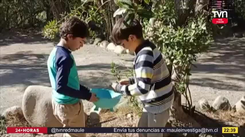 Recolección de huevitos por la llegada del conejito