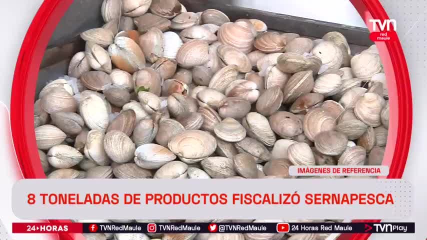 8 toneladas de productos fiscalizó Sernapesca