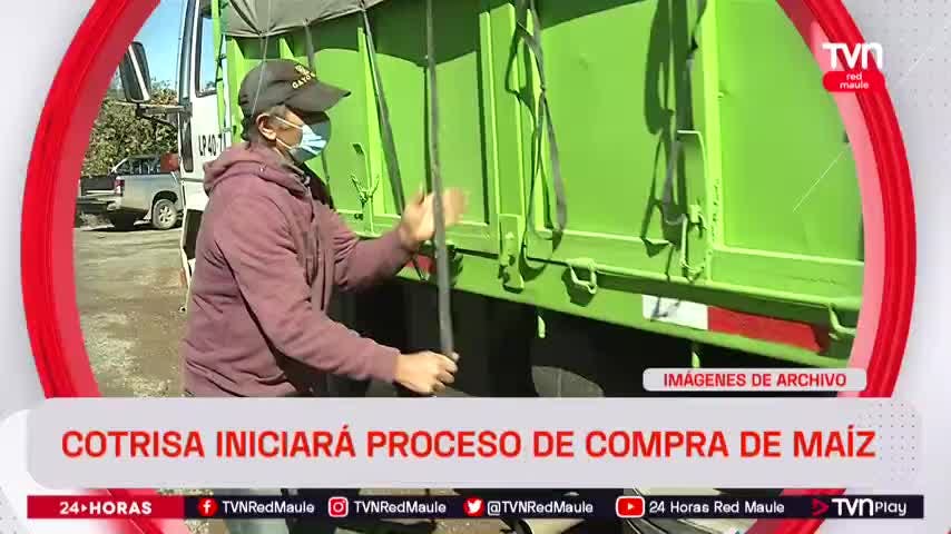 Cotrisa iniciará proceso de compra de maíz