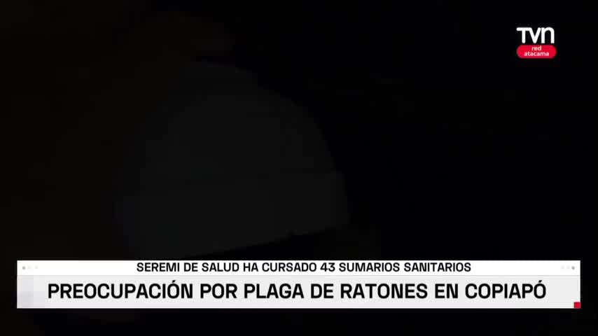 PLAGA DE RATONES