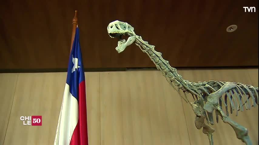 Descubrimiento del Chilesaurio: La reconstrucción de un fósil