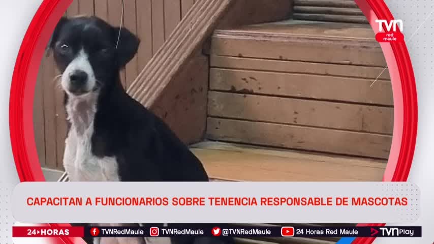 Capacitan a funcionarios sobre tenencia responsable de mascotas