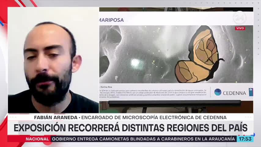 Imágenes del Nanomundo