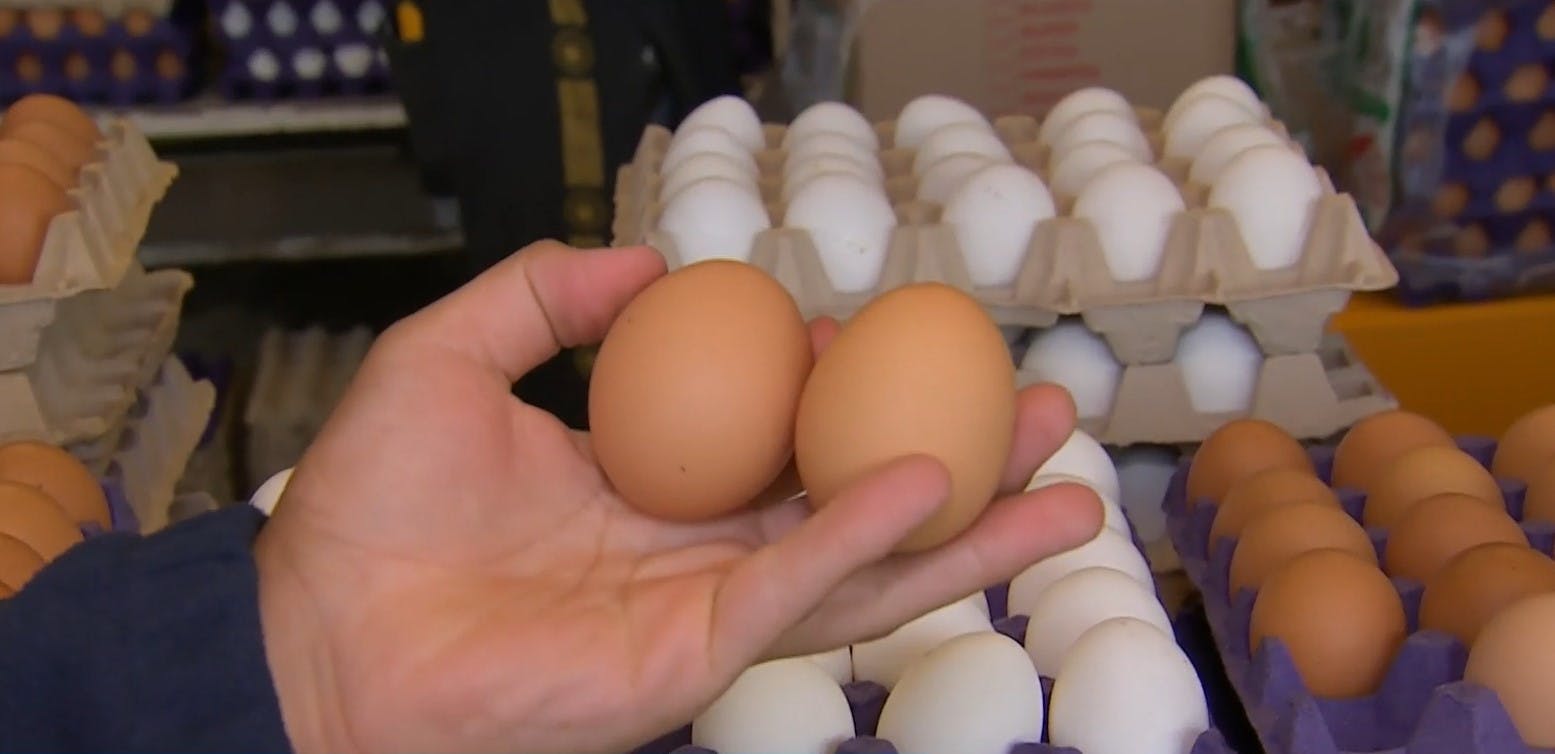 Simón Oliveros nos da el dato del momento: ¿Dónde encontrar los huevos más baratos?