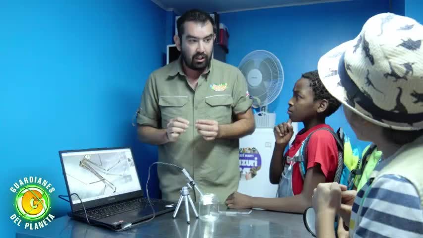 Mascotas exóticas y las arañas | Guardianes del Planeta T1E4