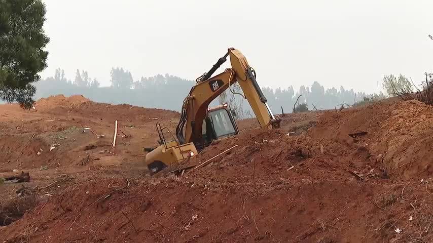 Desalojan terrenos del Serviu en Barrio Norte