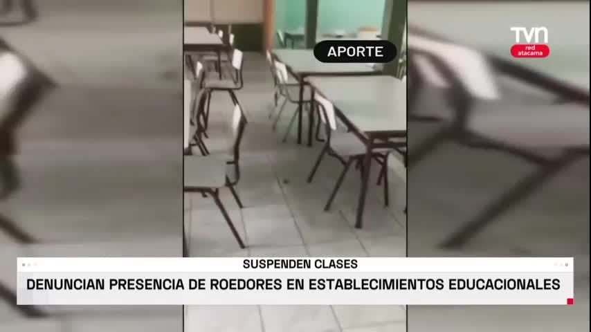 Plaga de roedores en establecimientos educacionales