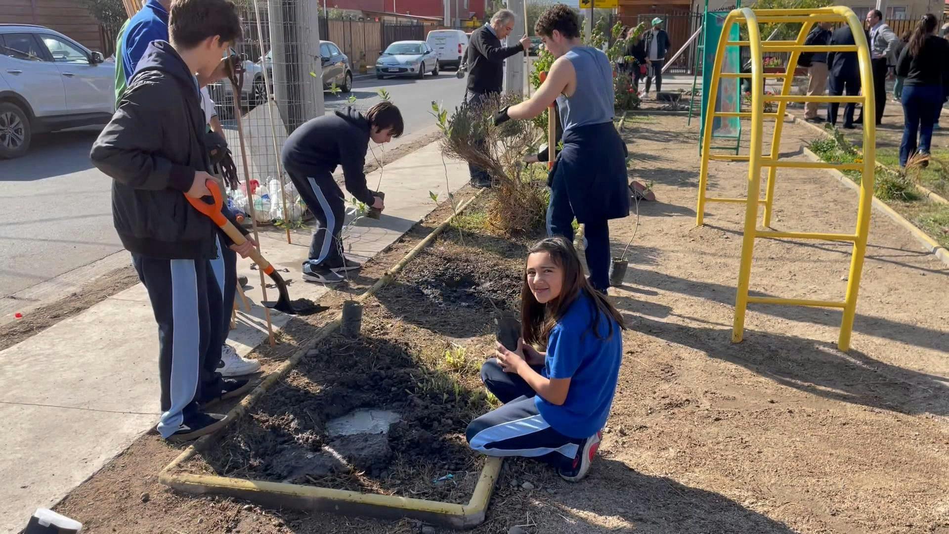 100 árboles nativos serán plantados en la comuna de Quillota
