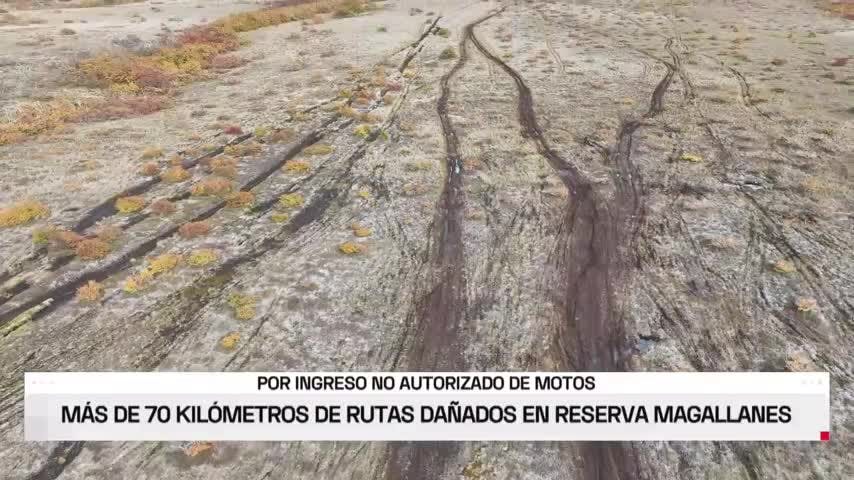 Daños en la reserva nacional Magallanes