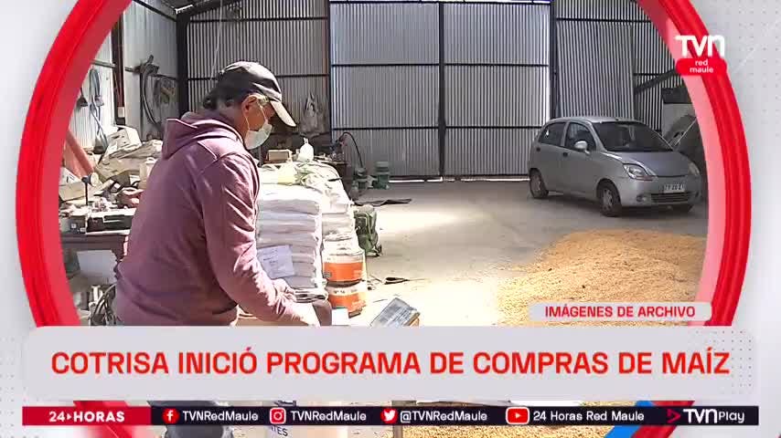 Cotrisa inició programa de compras de maíz