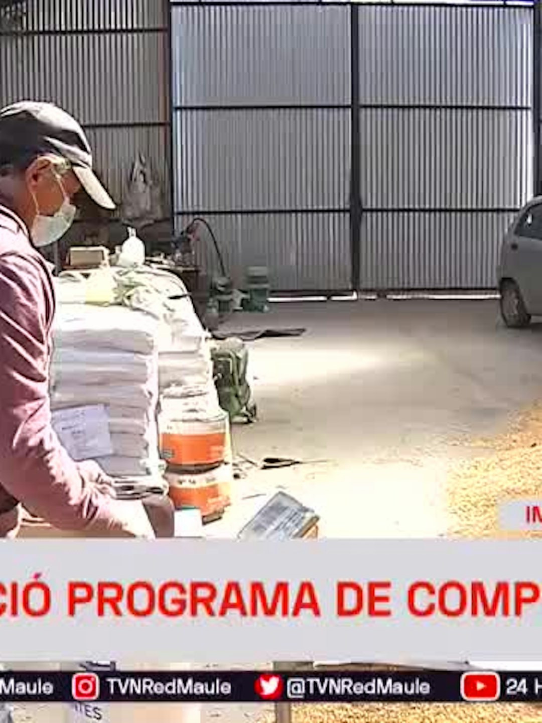 Cotrisa inició programa de compras de maíz