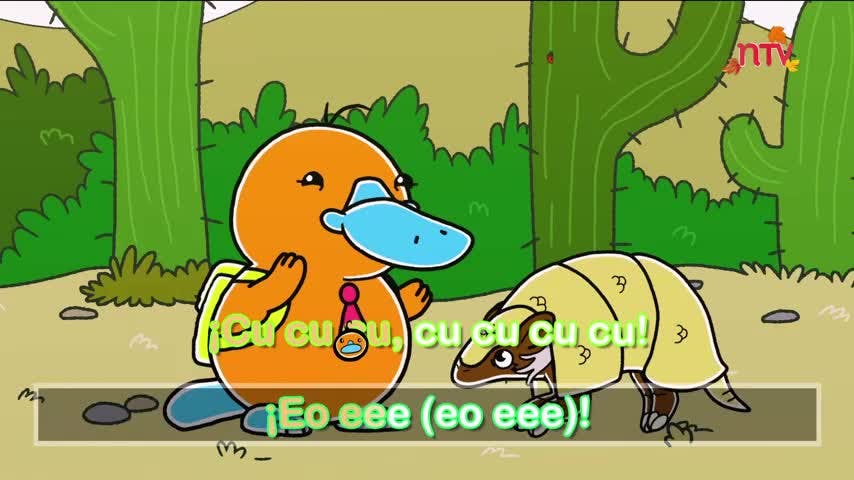 Armadillo | Canta Flinko - T1E7