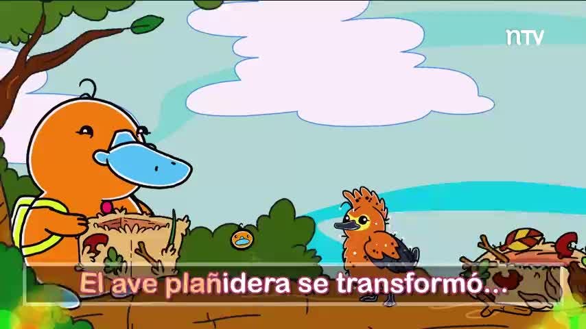 Ave Plañidera | Canta Flinko - T1E8