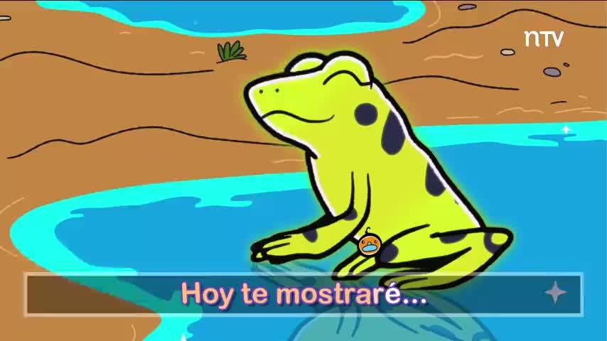 Rana | Canta Flinko - T1E9