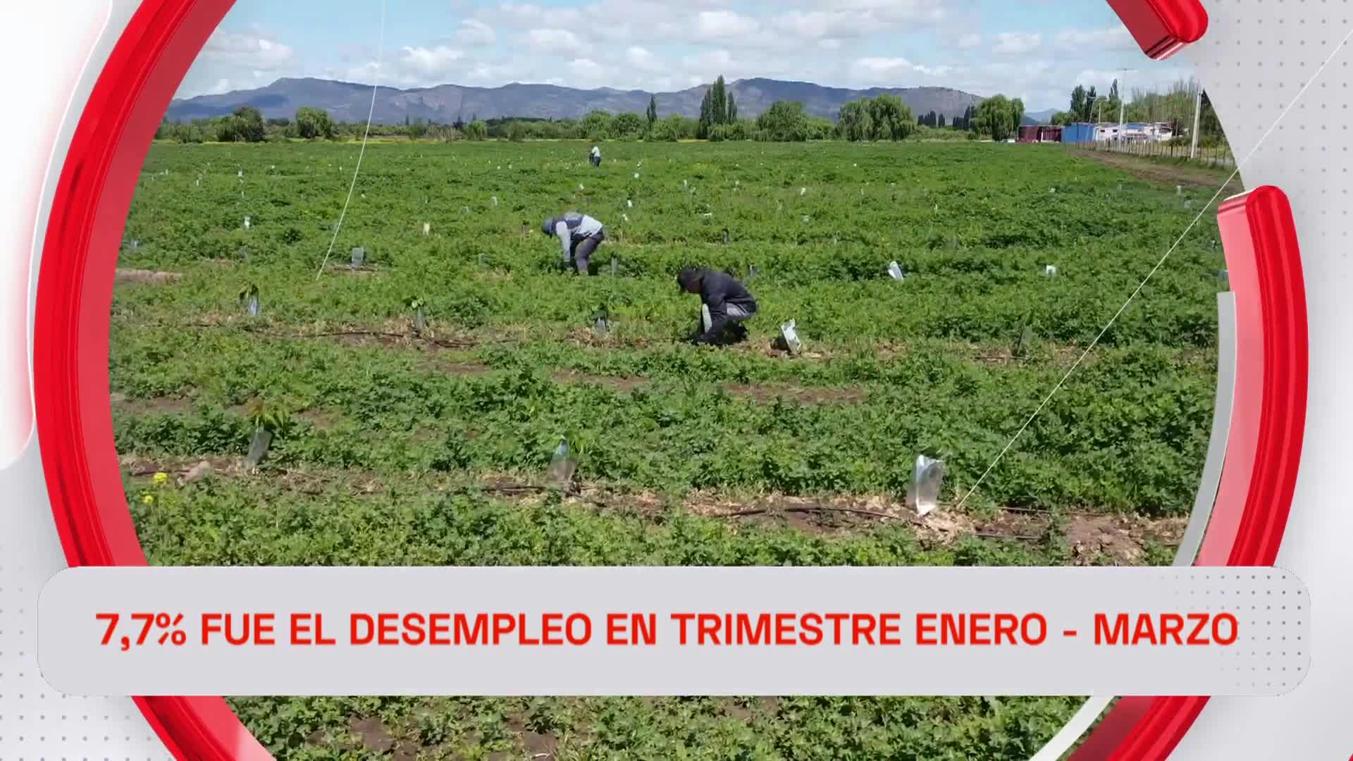7,7 fue el desempleo en trimestre enero - marzo