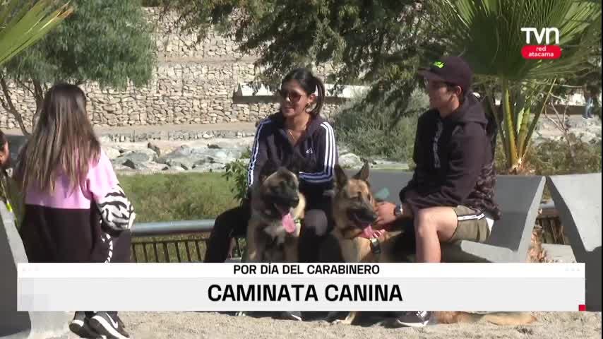 CAMINATA CANINA