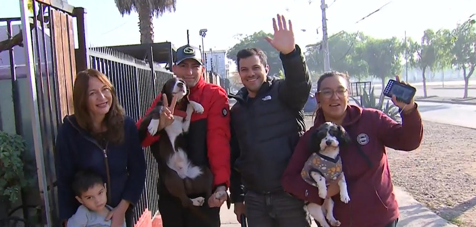 ¡Encontramos a Milo, el perrito más famoso de Maipú!