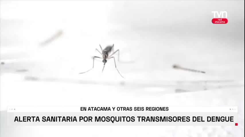 ALERTA POR MOSQUITOS
