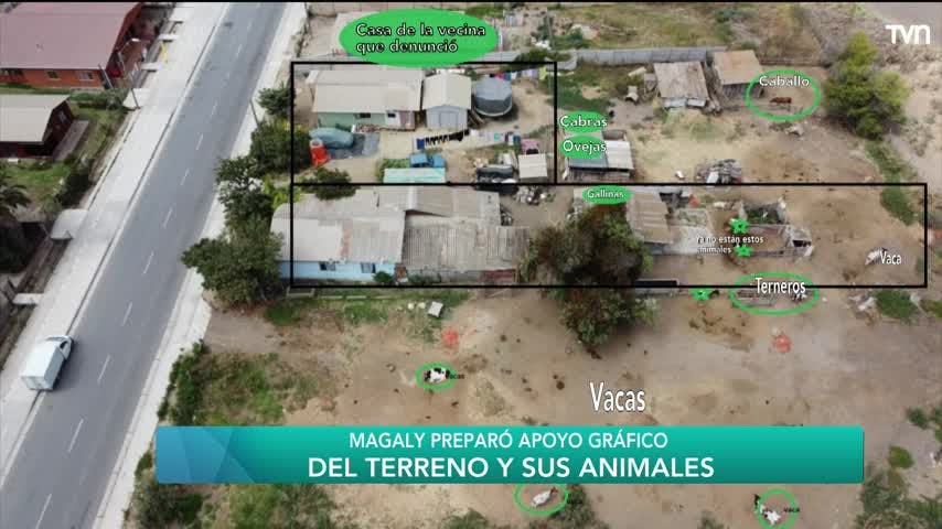 Instinto animal | Carmen Gloria a tu servicio 