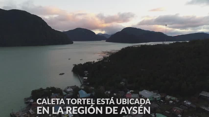 Tortel | Oceana - Mes del Mar - T1E12