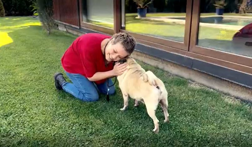 La fiel compañía de los animales de Claudia Conserva