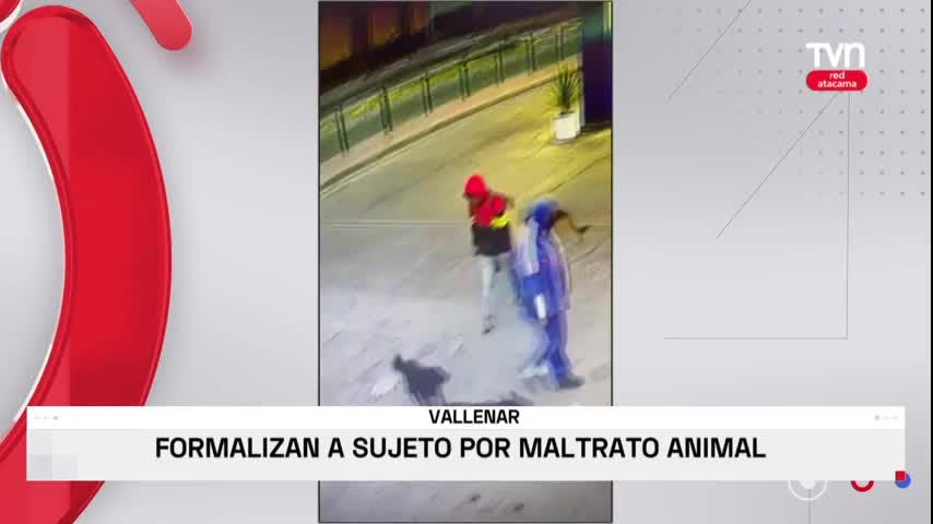 Vallenar: formalizan a sujeto por maltrato animal