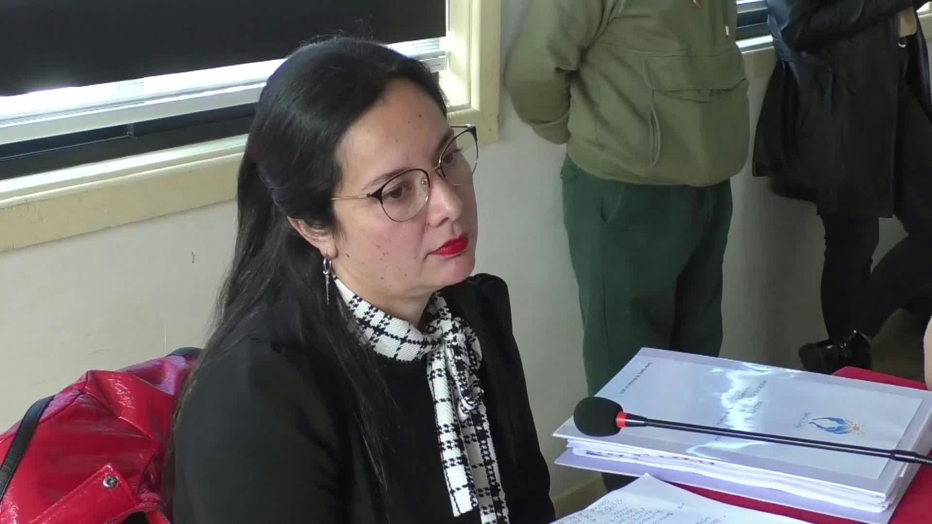 Comisión investigadora de incendios forestales sesionó en Santa Juana y Nacimiento 