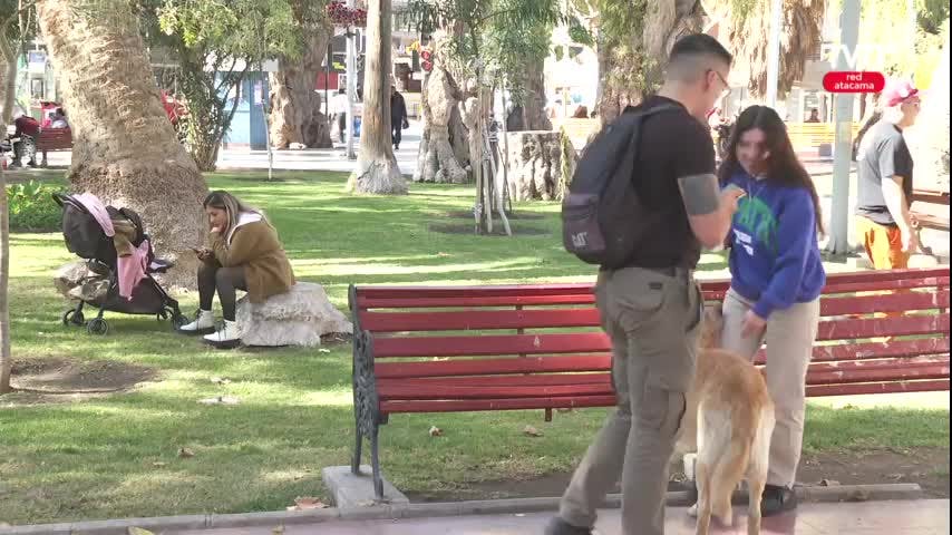 NUEVA PLAZA