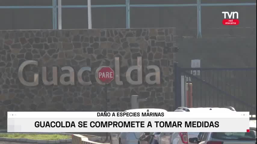 TERMOELÉCTRICA GUACOLDA