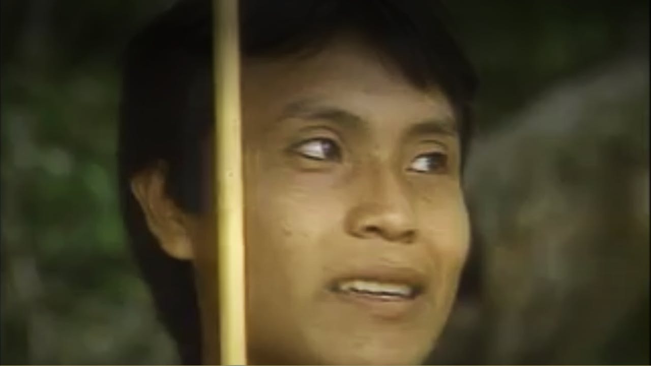El Mirador - T3E9 