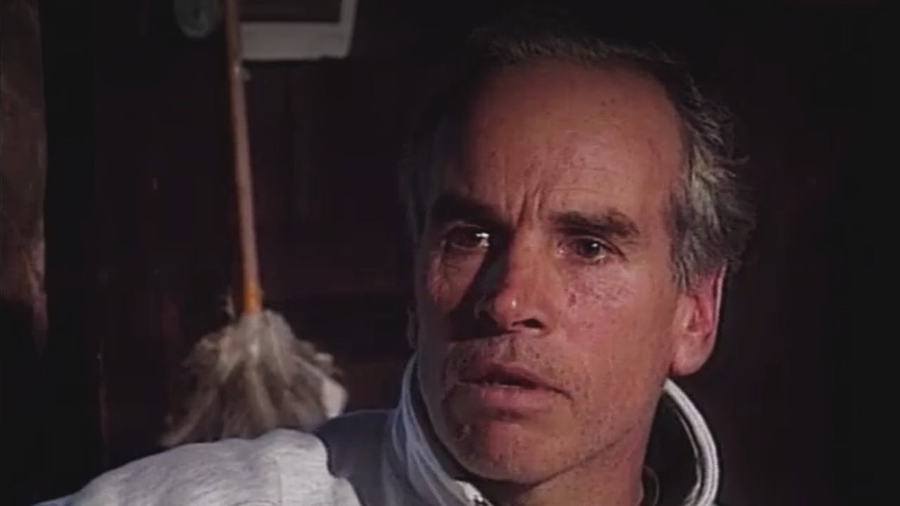 El Mirador - T3E14