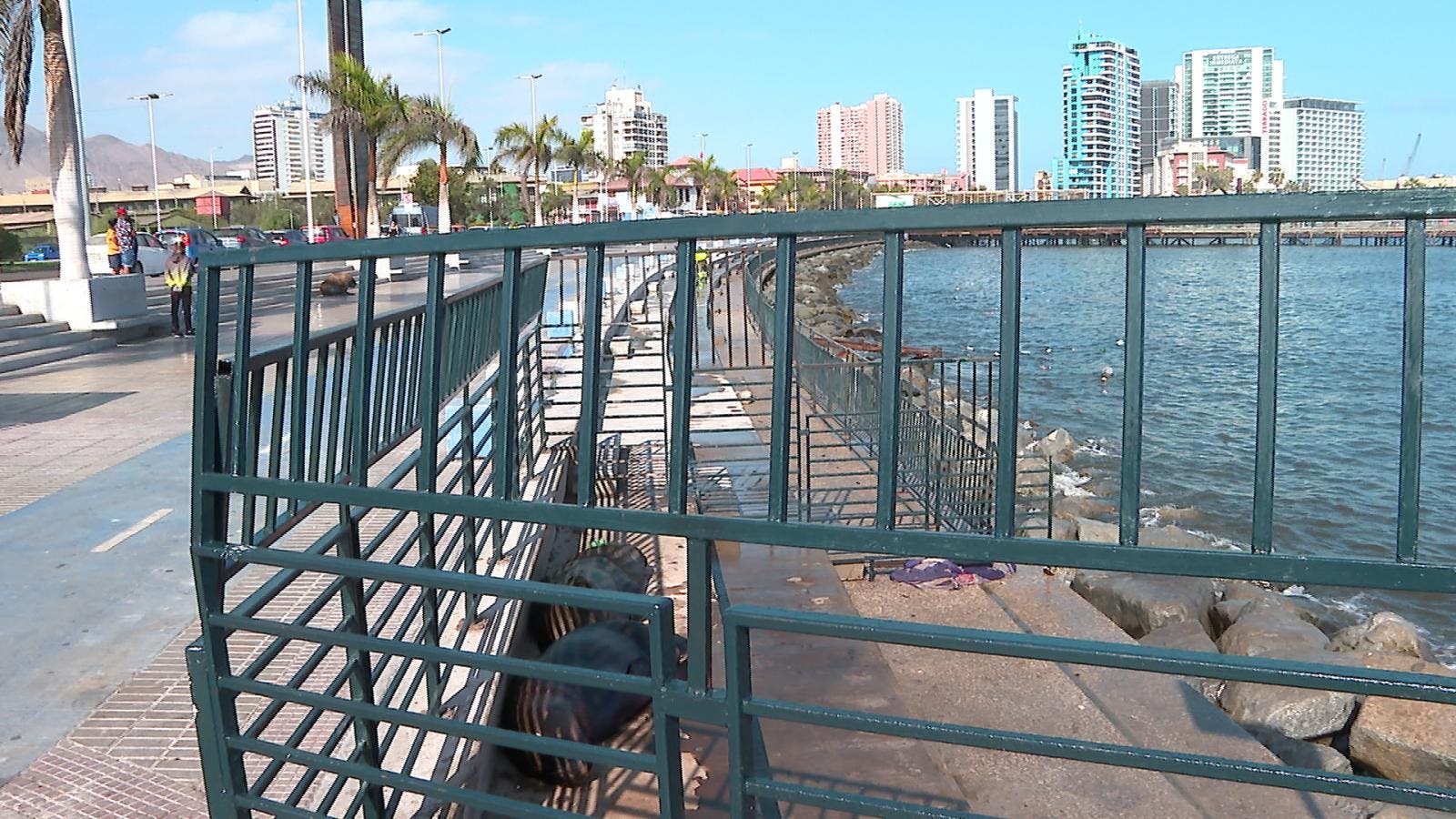 Amplían medidas para evitar fuga de lobos marinos en sector del terminal pesquero