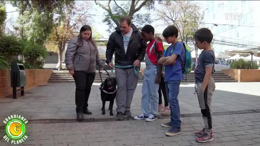 El trabajo de perros guía y la equinoterapia | Guardianes del Planeta - T1E8