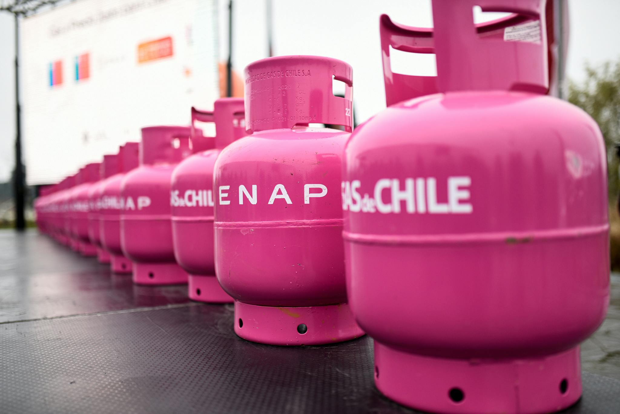 Celis y requerimiento a Contraloría por 'Gas de Chile': Hubo recursos públicos que se destinaron