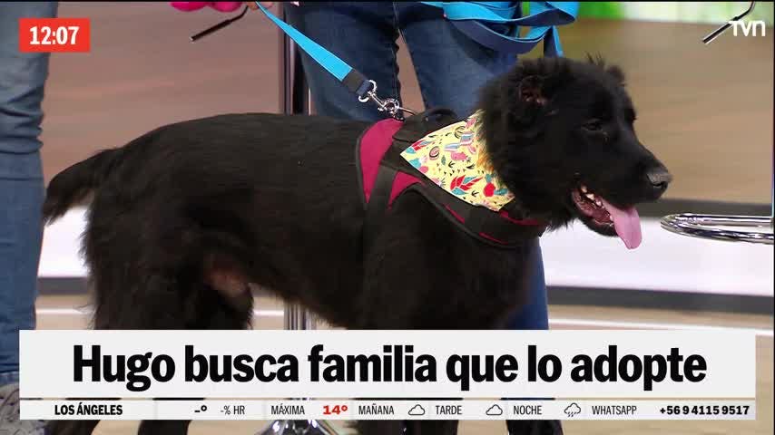¡Tenemos noticias de Golfo! Se reencontró con su familia tras 9 meses