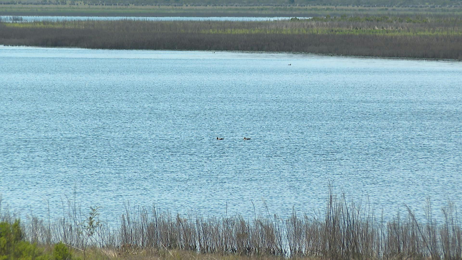 d581ac5b-0a73-42aa-b965-d707f434c559_val020623lagopenuelas.mp4