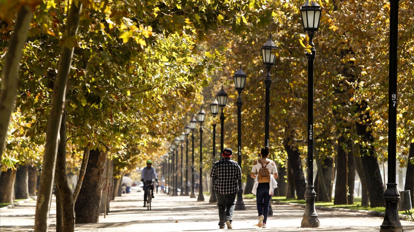 Climatólogo y altas temperaturas en otoño meteorológico: Es un récord que confirma una tendencia