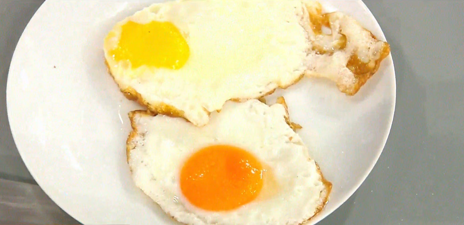 Perfecto para el desayuno: Conoce deliciosas recetas para hacer huevos