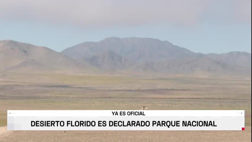 YA ES OFICIAL